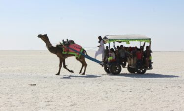 Rann Utsav Tour Package